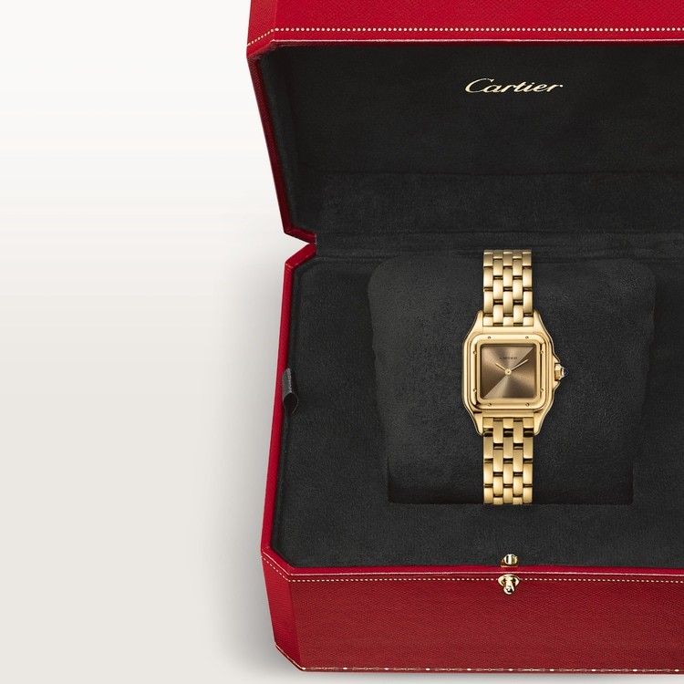 PANTHÈRE DE WATCH SMALL MOEDL