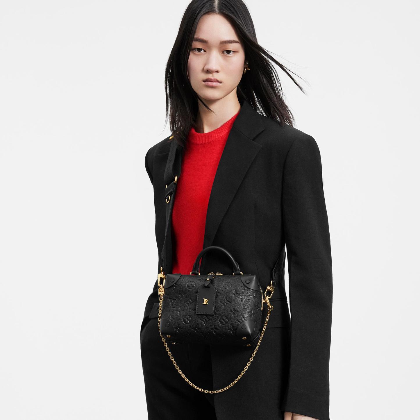 Petite Malle Souple M45393