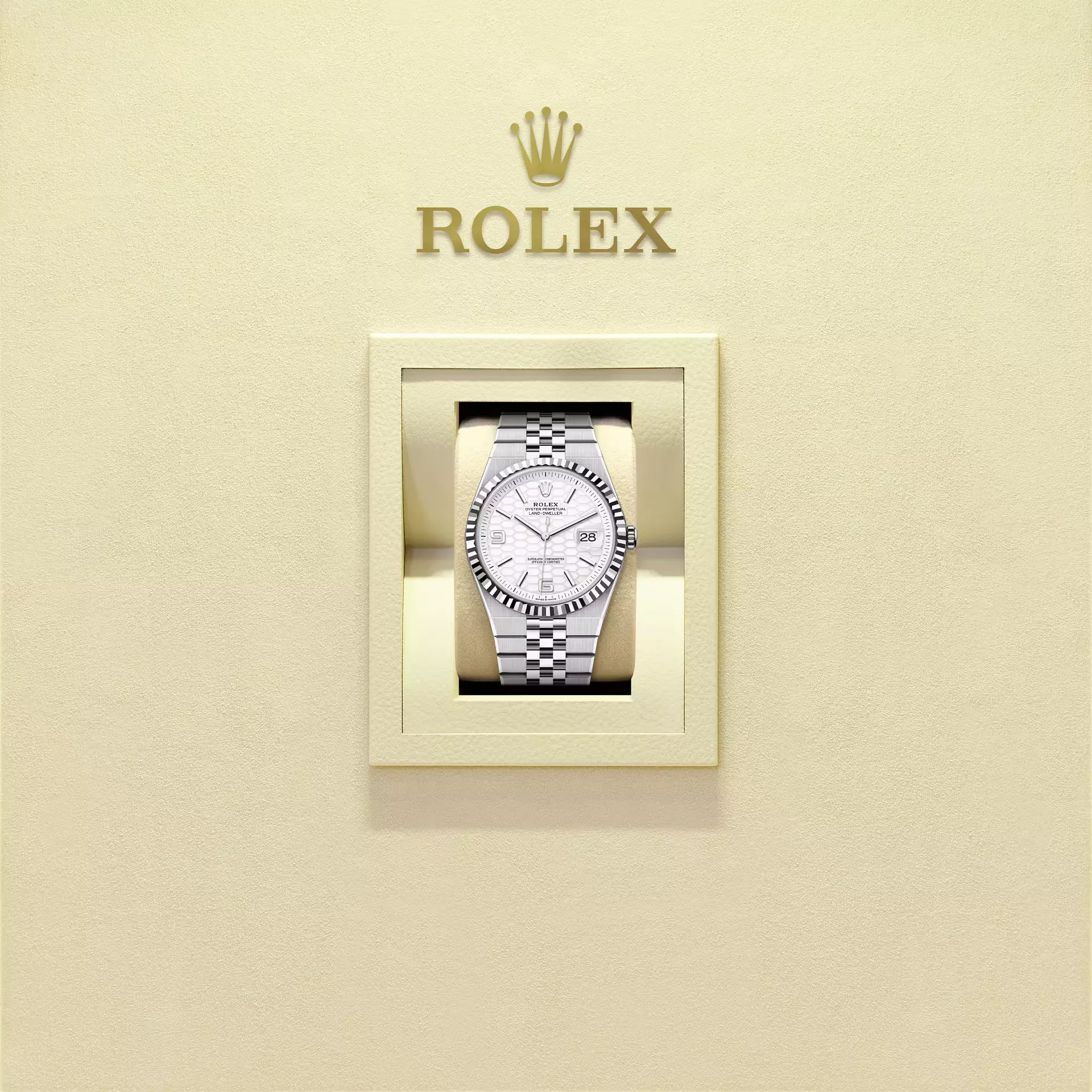 Land-Dweller 36, Oyster, 36 mm, Oystersteel and white gold  Reference 127234