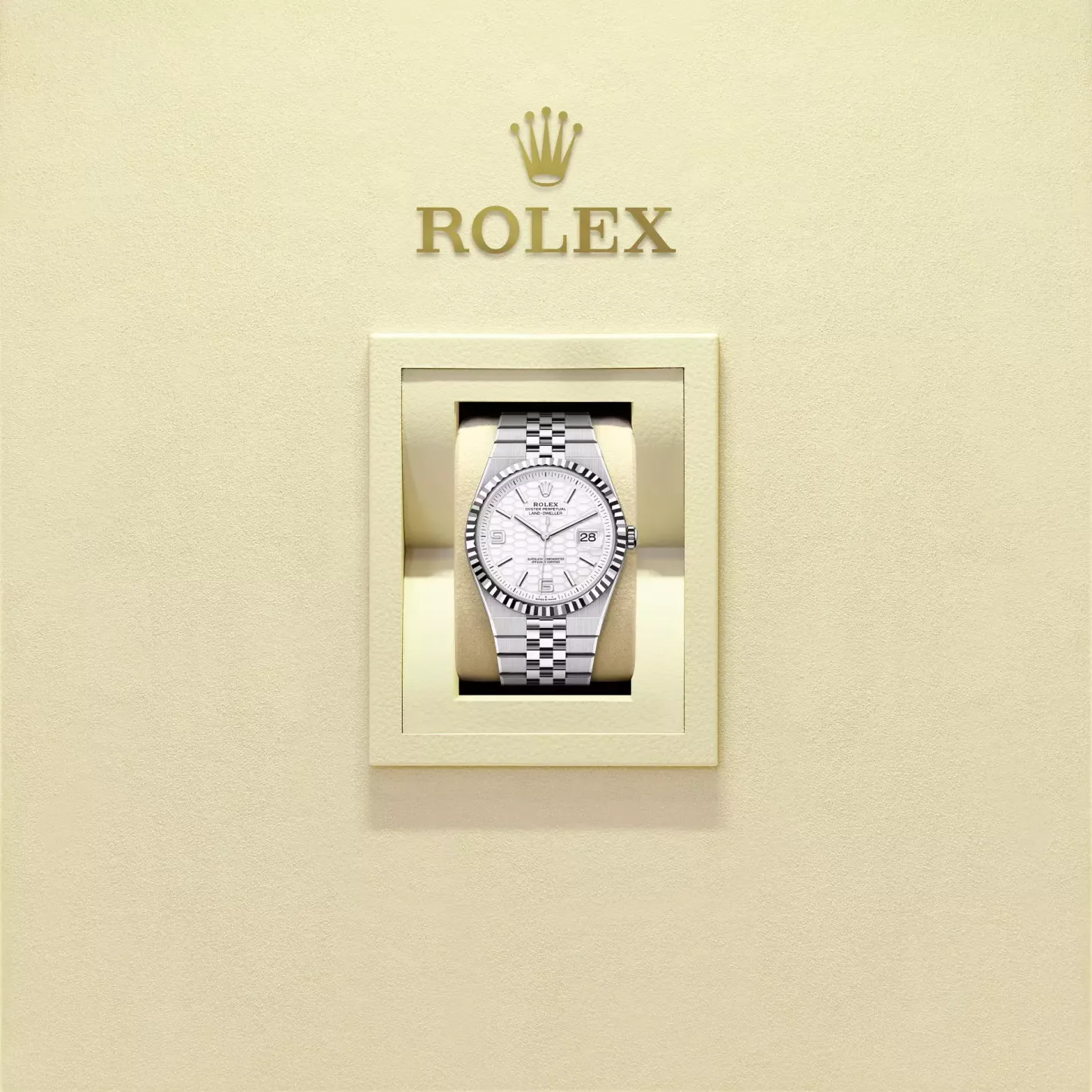 Land-Dweller 36, Oyster, 36 mm, Oystersteel and white gold  Reference 127234