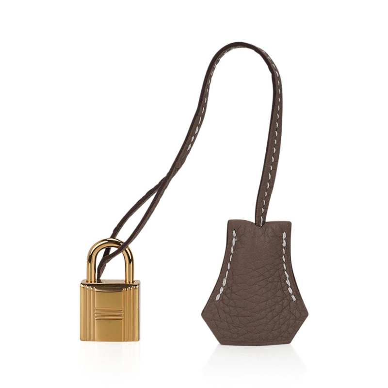 Birkin 25 Bag Etoupe Togo Leather with Gold Hardware