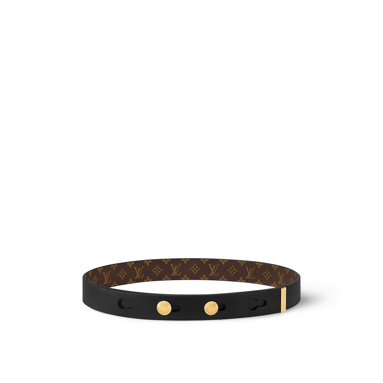 Studs 29 Belt