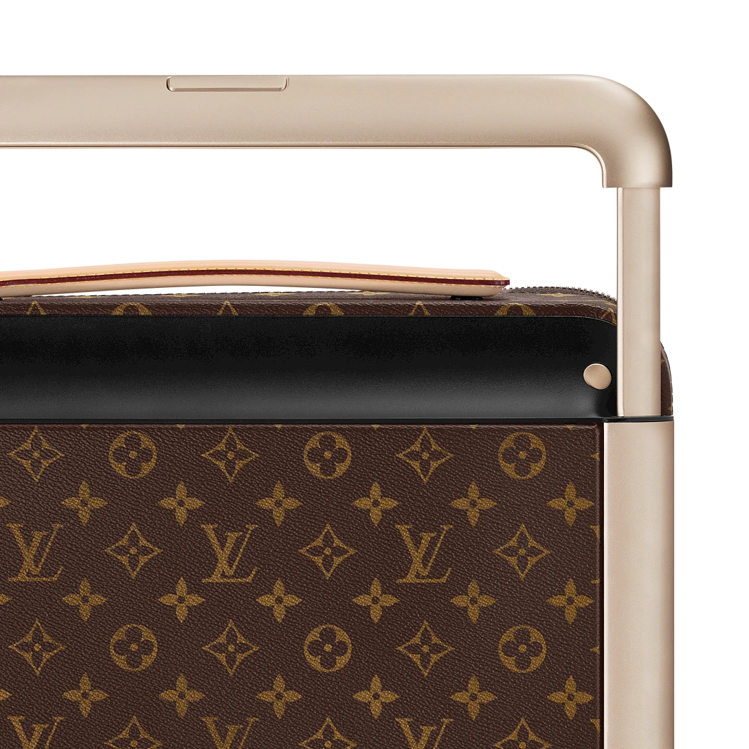 LVHigh-end suitcases