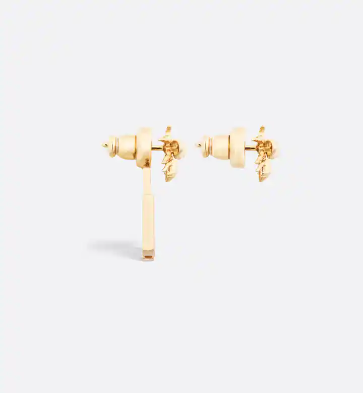 Evolution Earrings