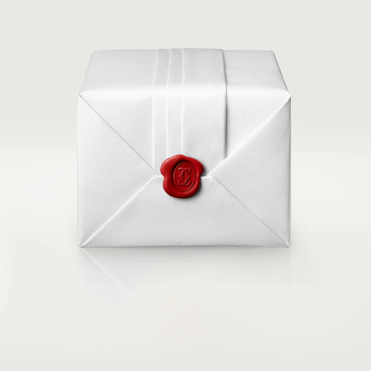 JUSTE UN CLOU EARRINGS