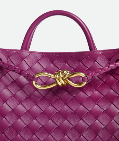 Bothtttega Vethtneta Andiamo Chain Bag