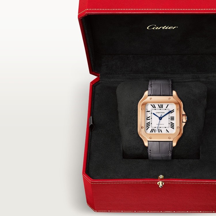 SANTOS DE WATCH MEDIUM MODEL