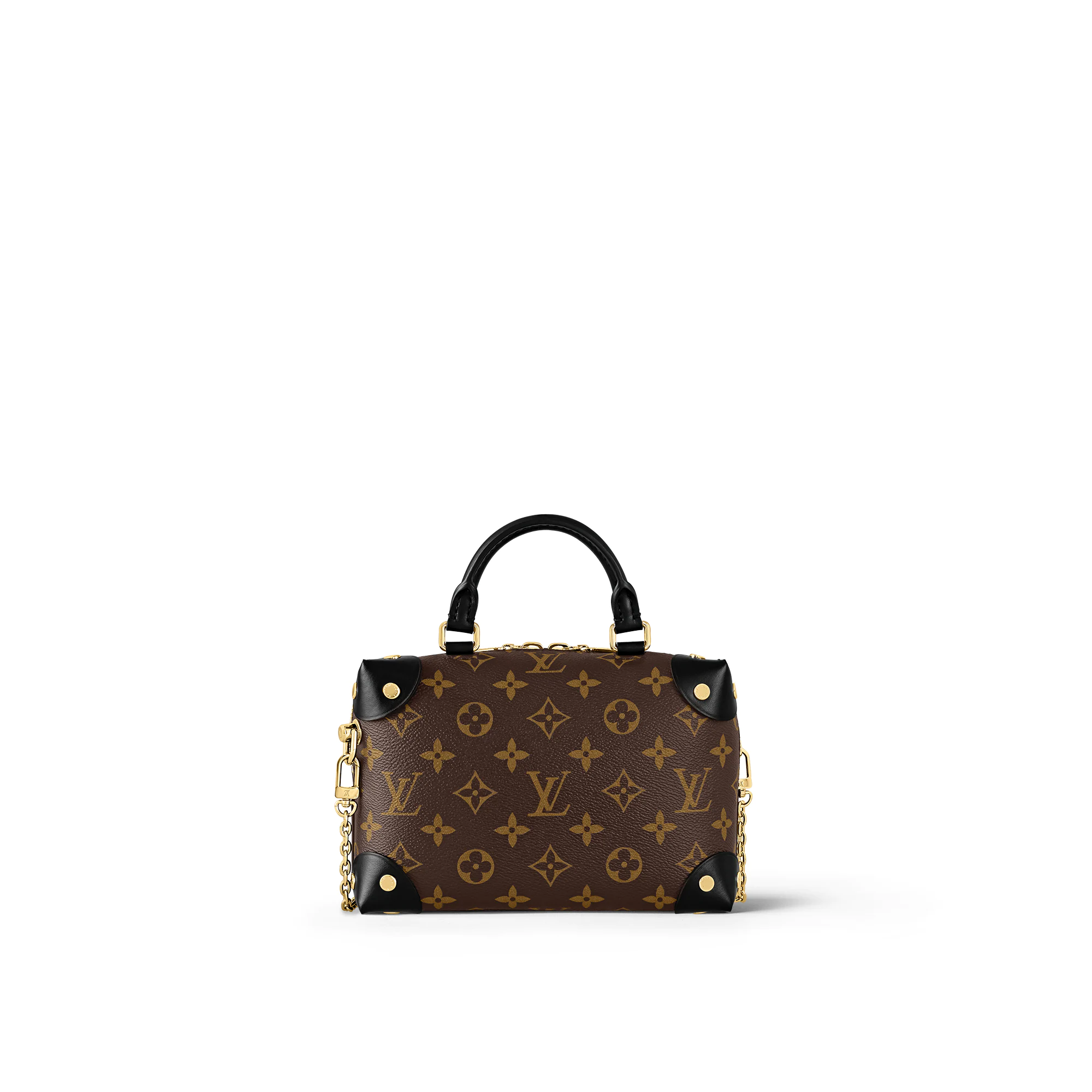 Petite Malle Souple M45571