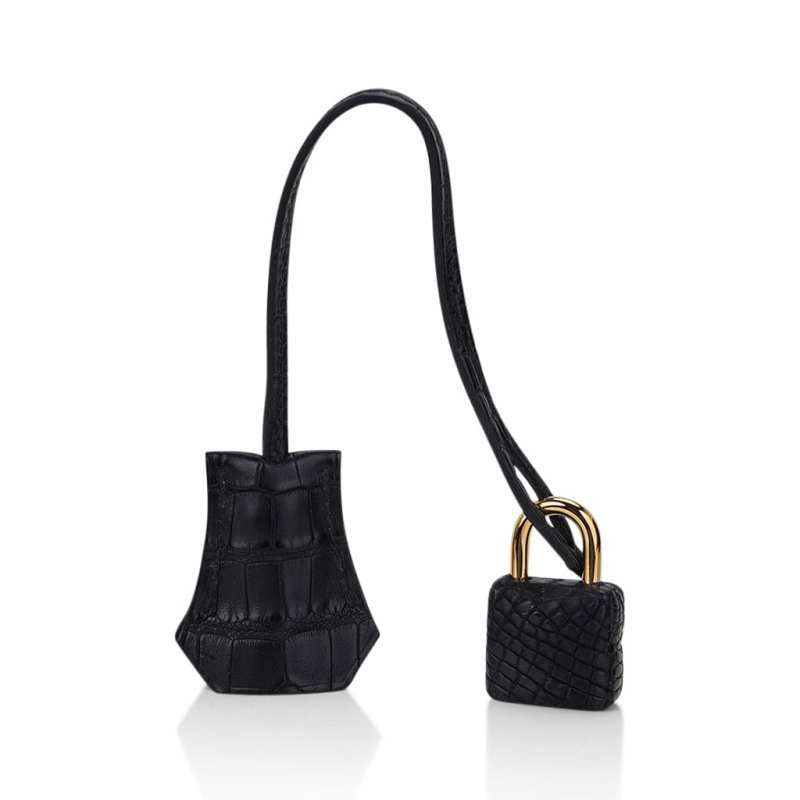 Birkin 25 Bag Black Matte Alligator with Gold Hardware