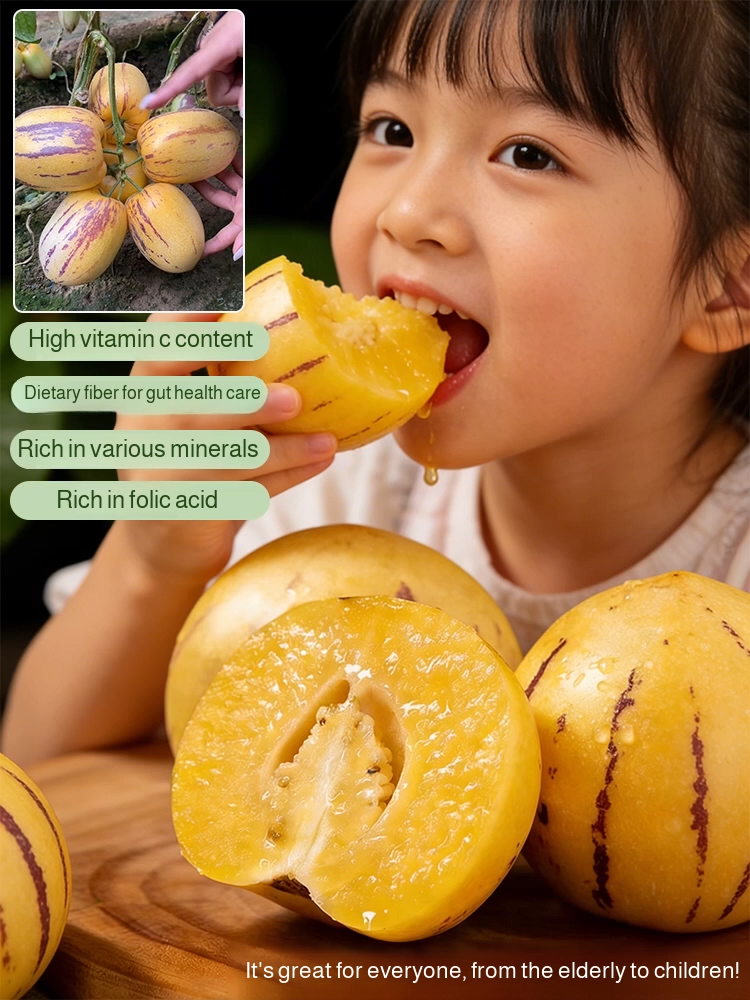 【High Germination Rate】Sweet and Juicy Ginseng Fruit Seeds