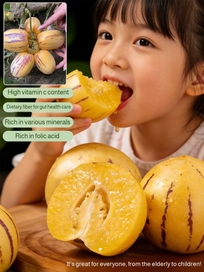 【High Germination Rate】Sweet and Juicy Ginseng Fruit Seeds