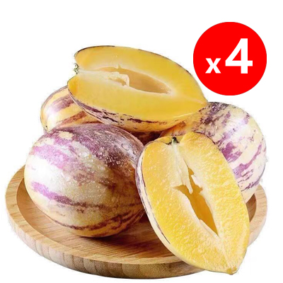 【High Germination Rate】Sweet and Juicy Ginseng Fruit Seeds