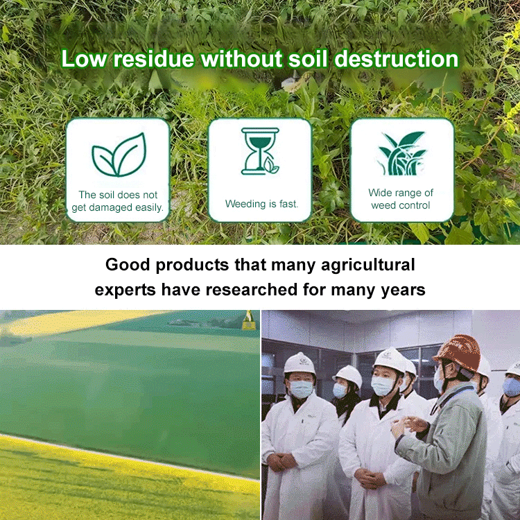 🌿 10X Weed Killing Power! Recommended by the American Horticultural Society (AHS). Kills weeds in one spray, harmless to soil!
