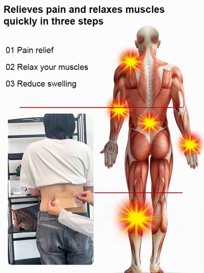 Moxibustion plaster for whole body