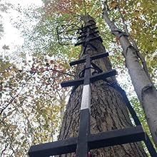 ladder tree stand