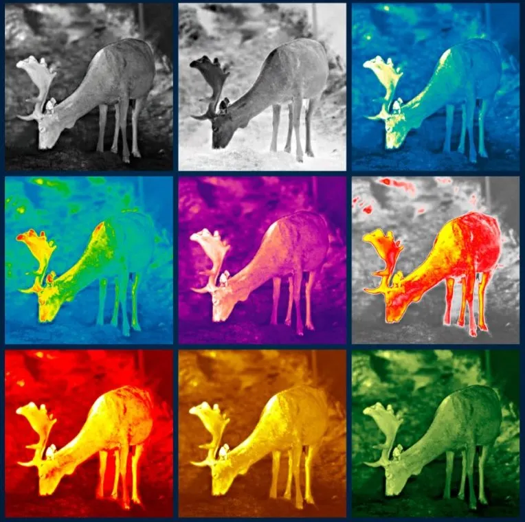 Product details image