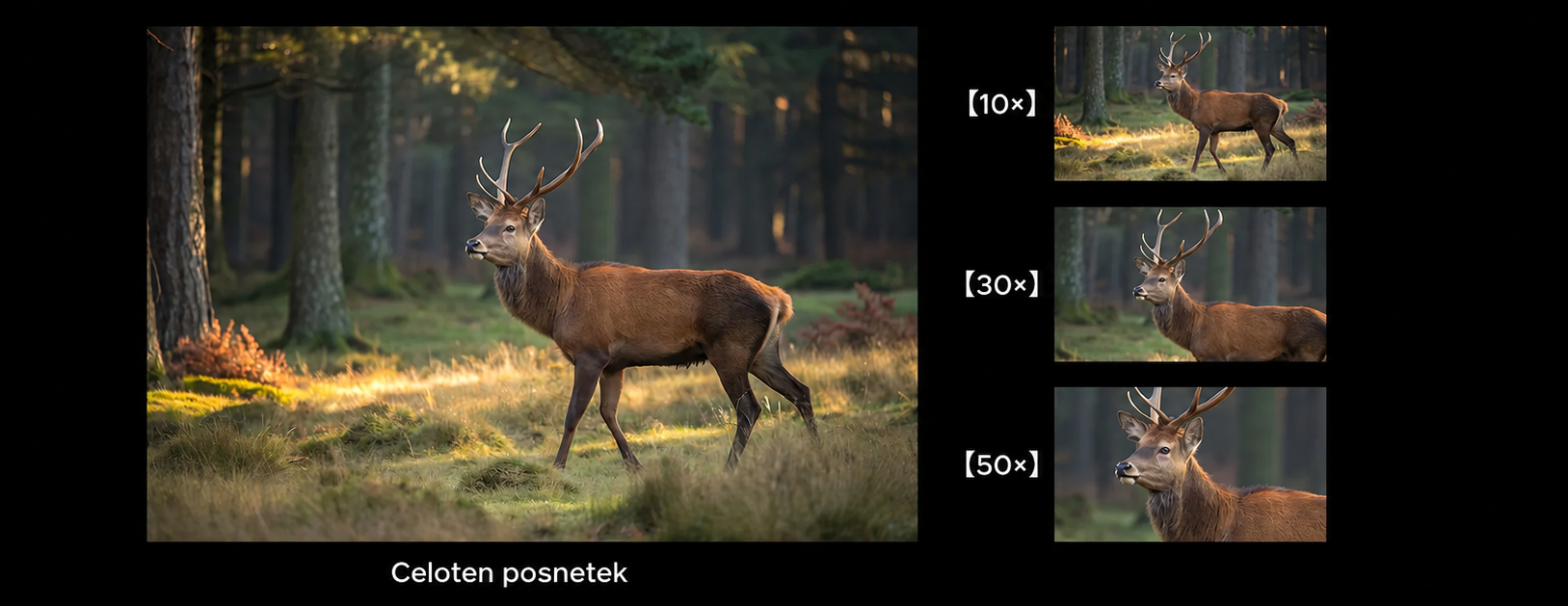 Product details image