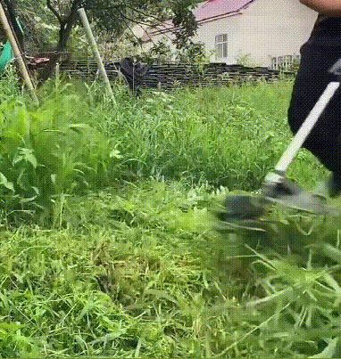 1724315531209456.gif