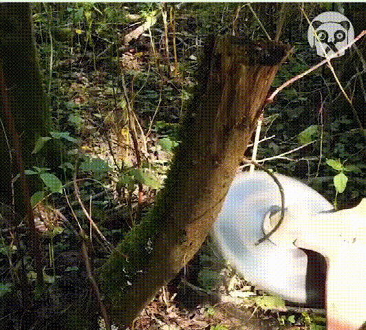 1724318642323201.gif