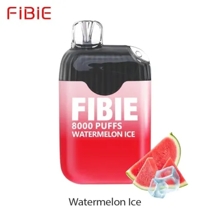 FIBIE 8000 Disposable E-Cigarette Sticks (15 Flavor Series)