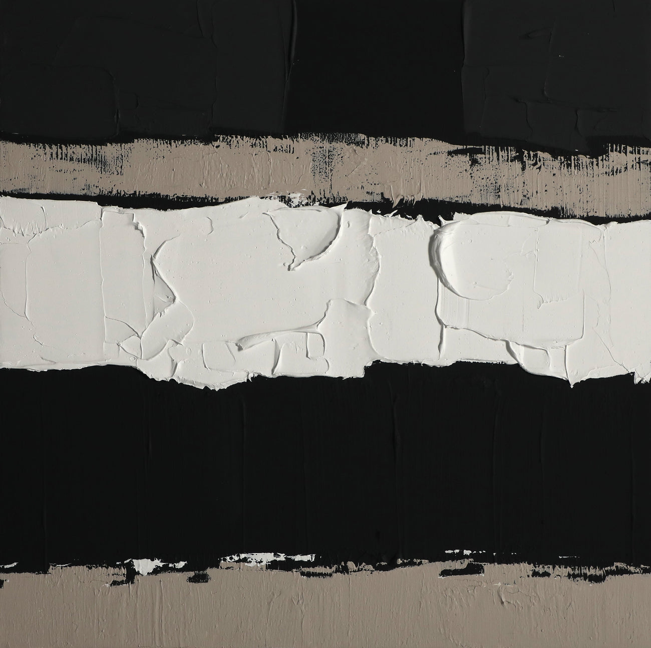 Textural Contrast-A Black & White Acrylic Odyssey