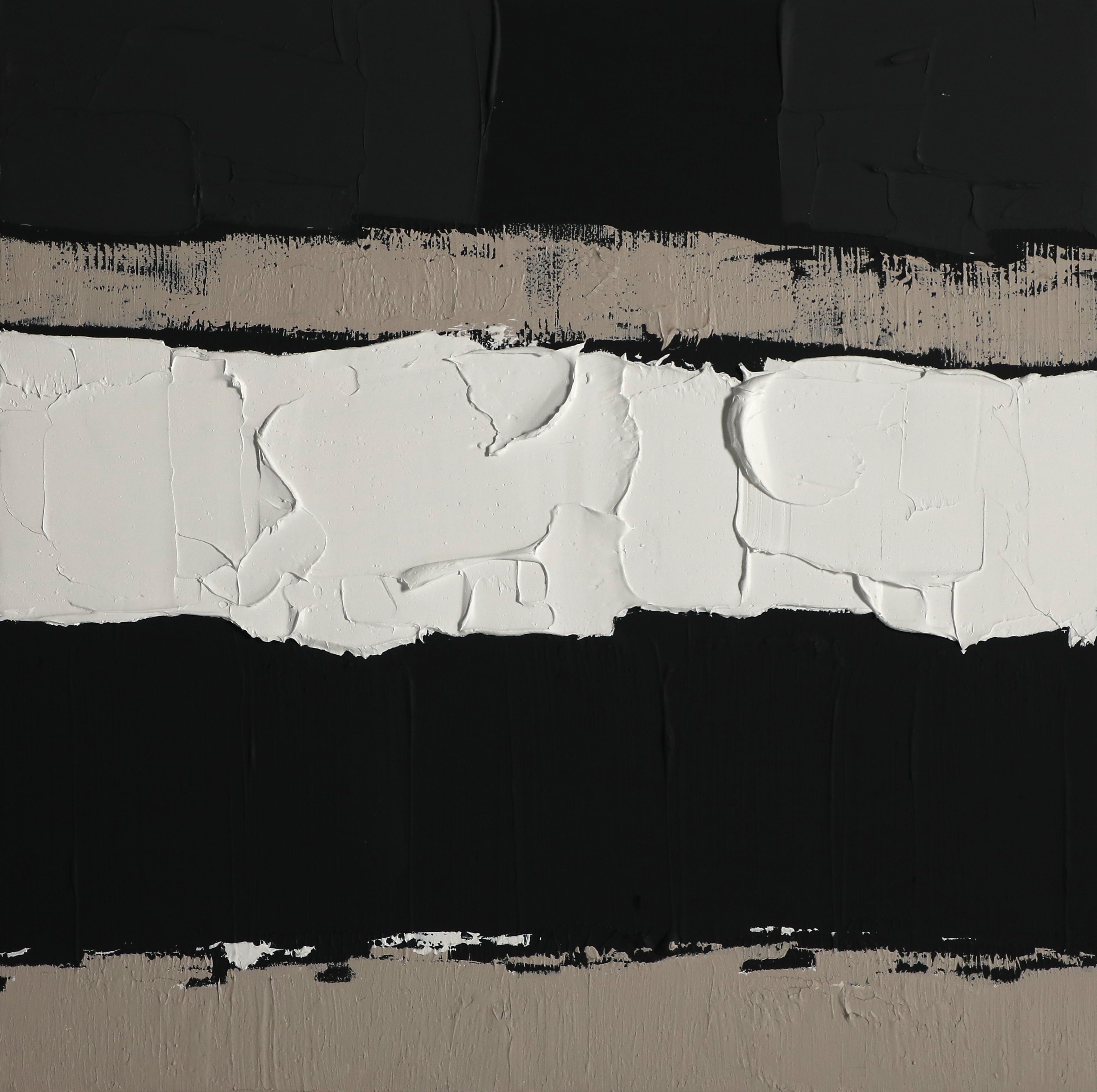 Textural Contrast-A Black & White Acrylic Odyssey