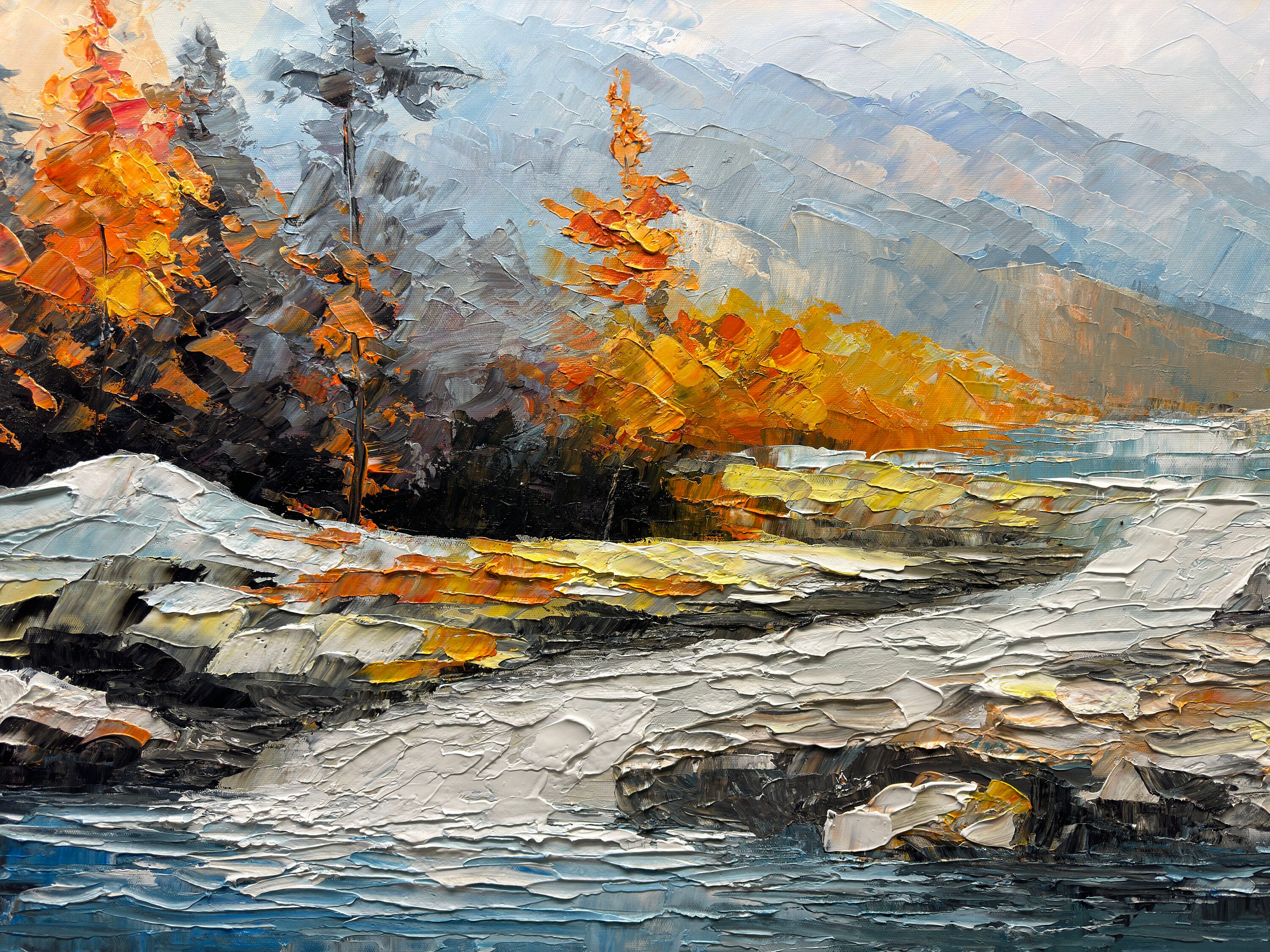 River Forest Landscape
