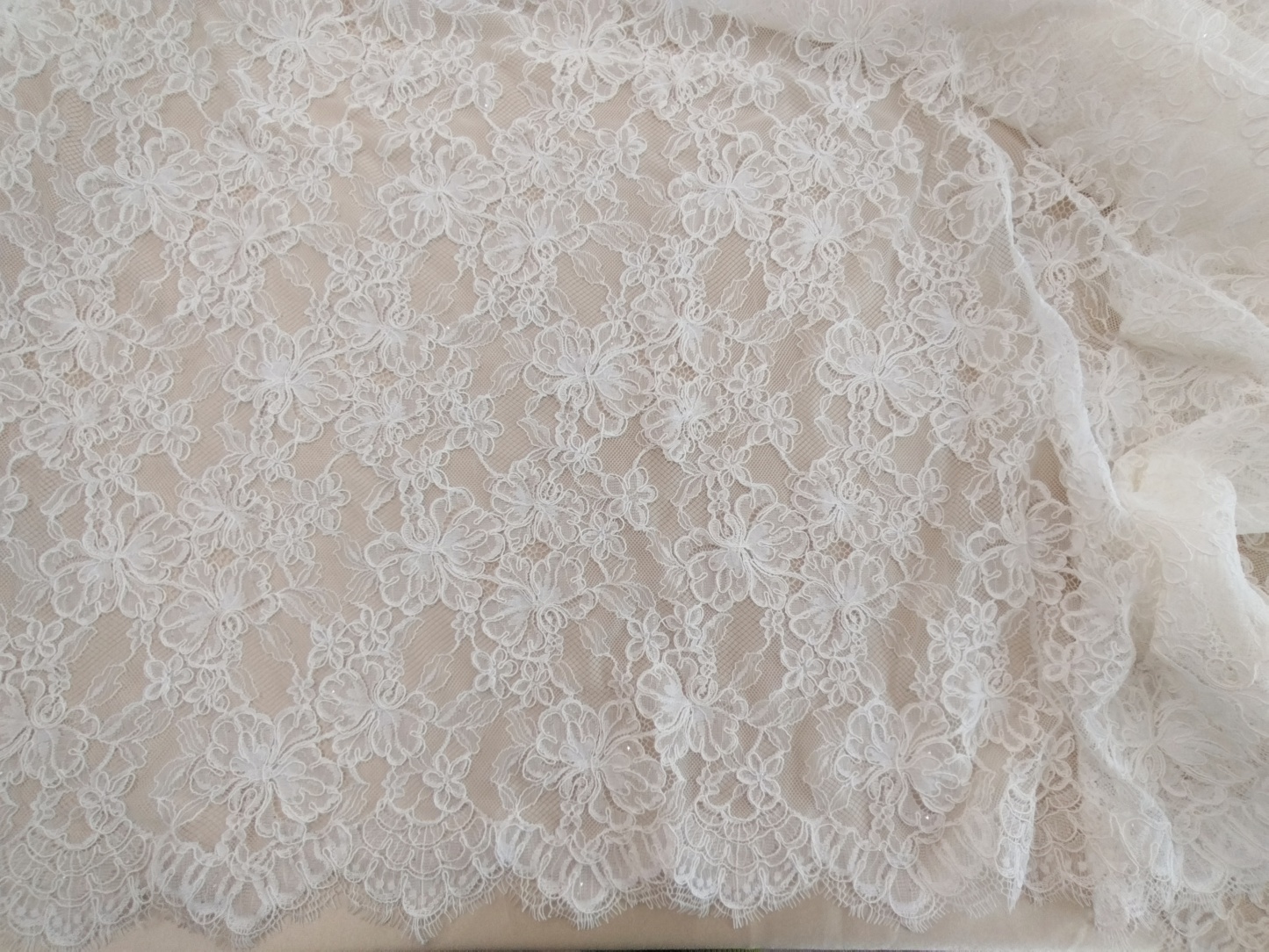 Chantilly Eyelash Lace Fabric, Bridal Wedding Dress lace for Veil, Dress, Costume