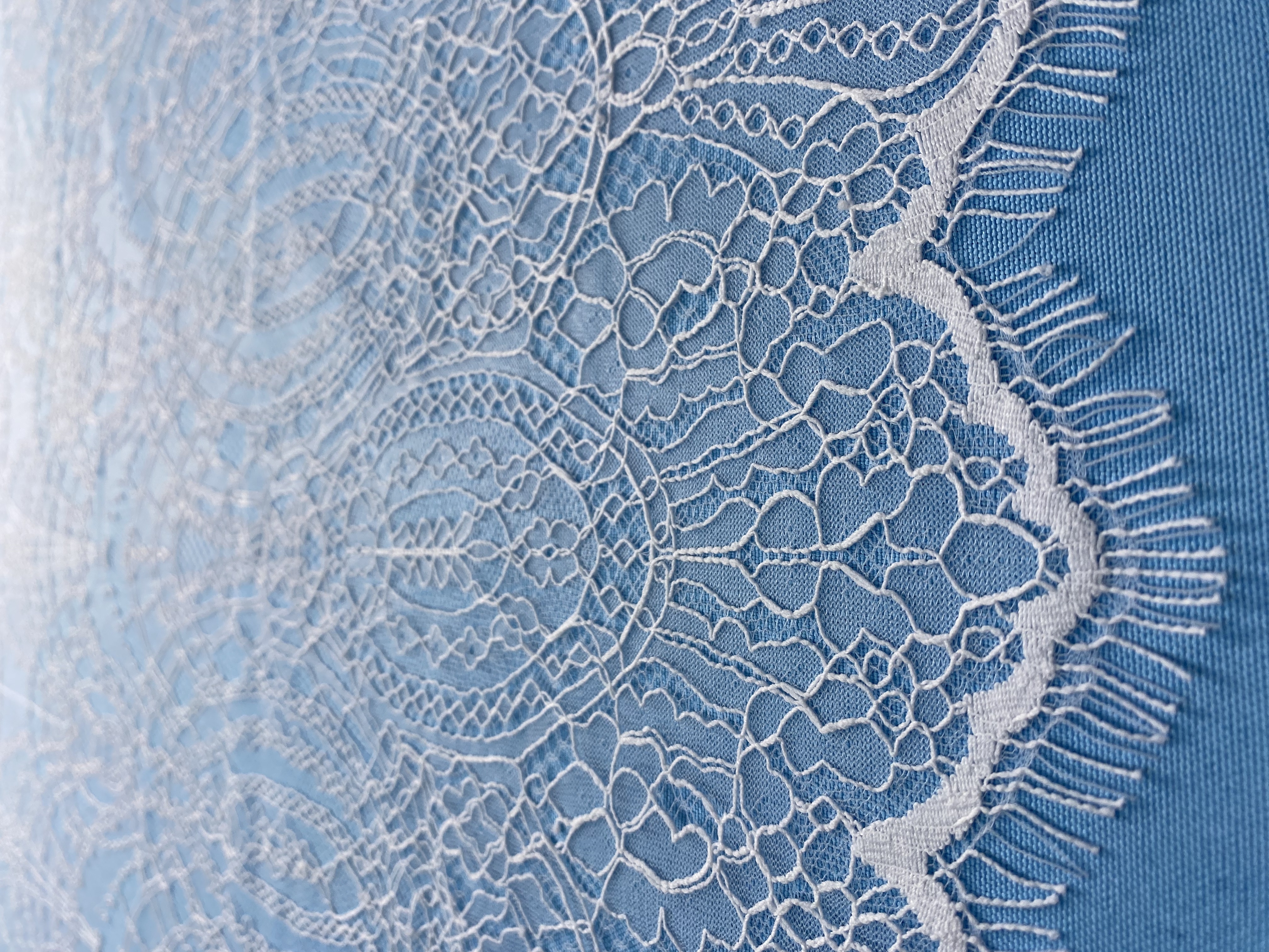 French Eyelash Lace with Embroidery – Stylish High-End Fabric, 300CM Length x 150CM Width for Wedding Dresses, Fashion Garments & Decor Projects