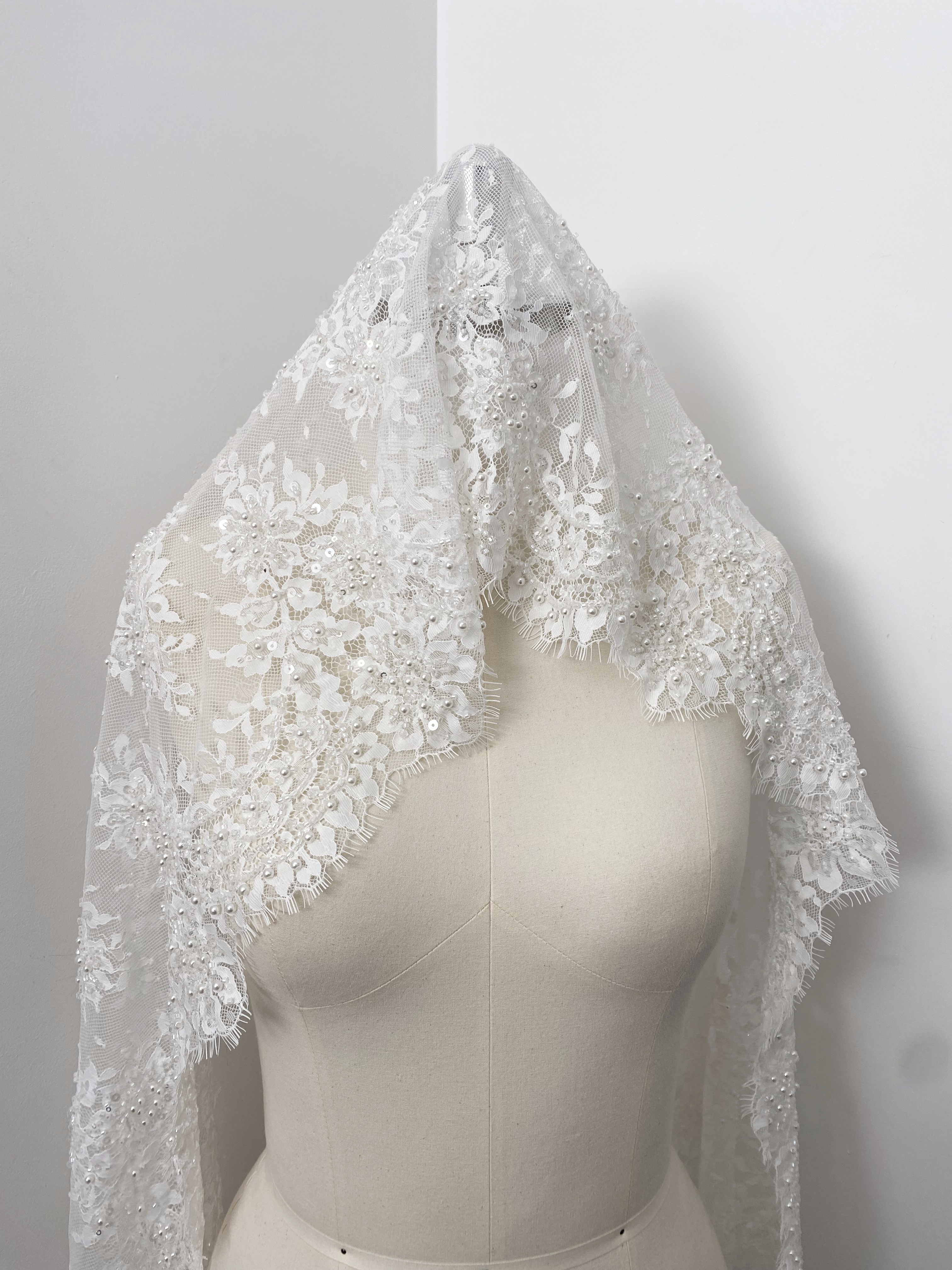 French Chantilly Lace Double Side Scalloped Beaded Lace Trim with Eyelash，Veil Lace Fabric, Bridal Wedding Accessories，Sold as 3-Meter Piece