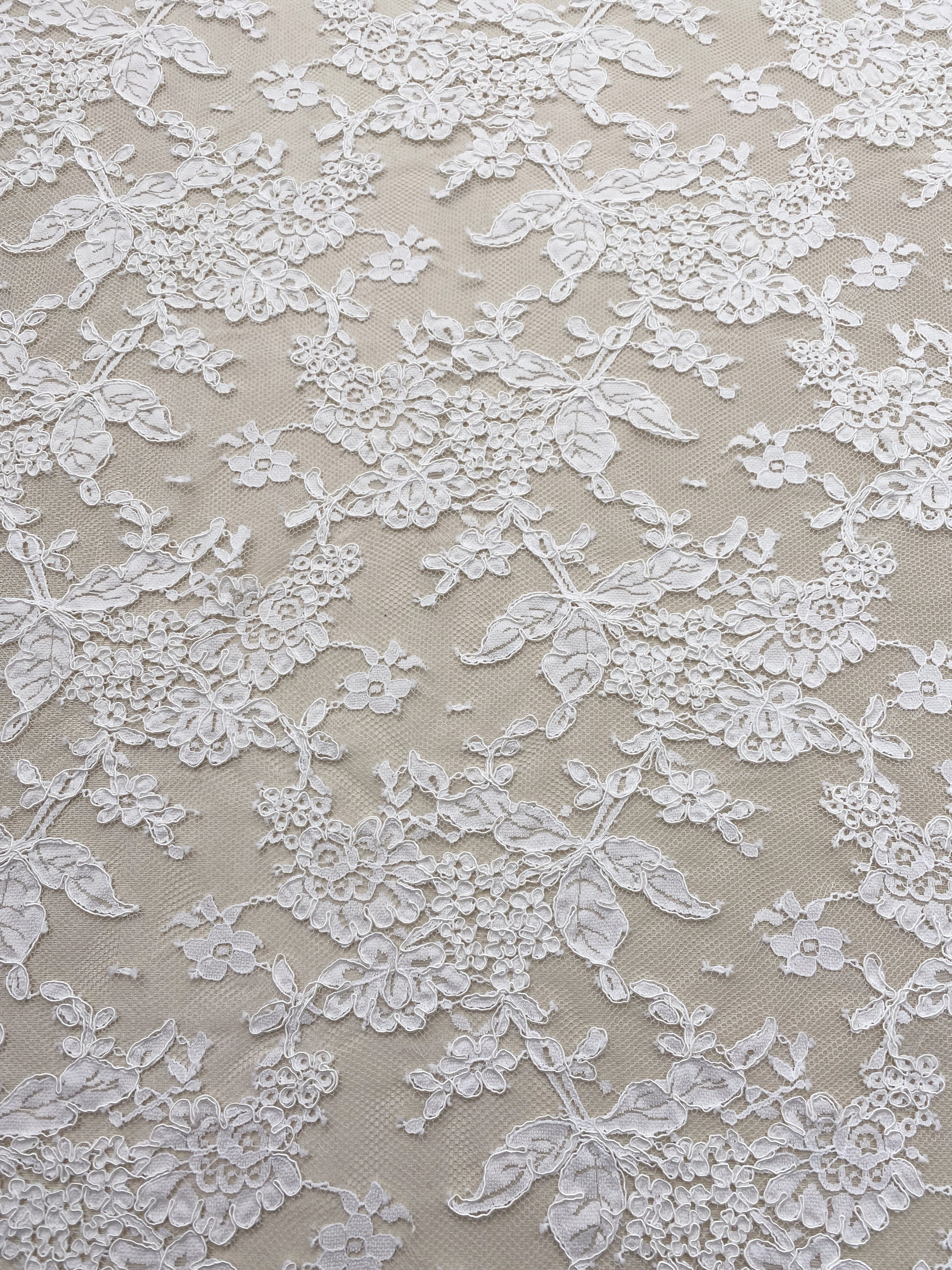 White French Lace with Corded