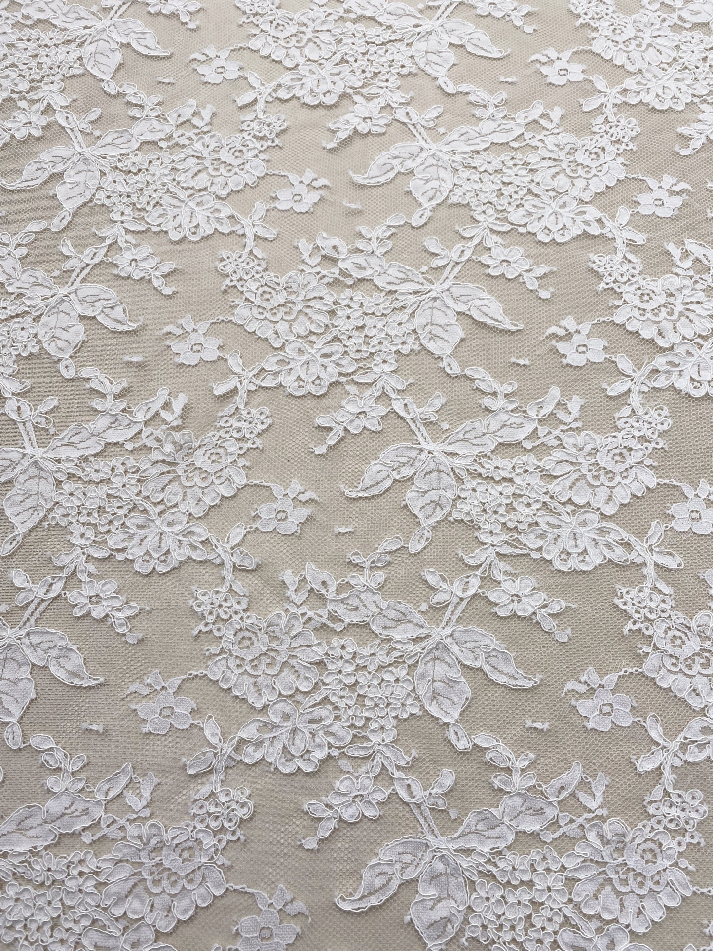 White French Lace with Corded