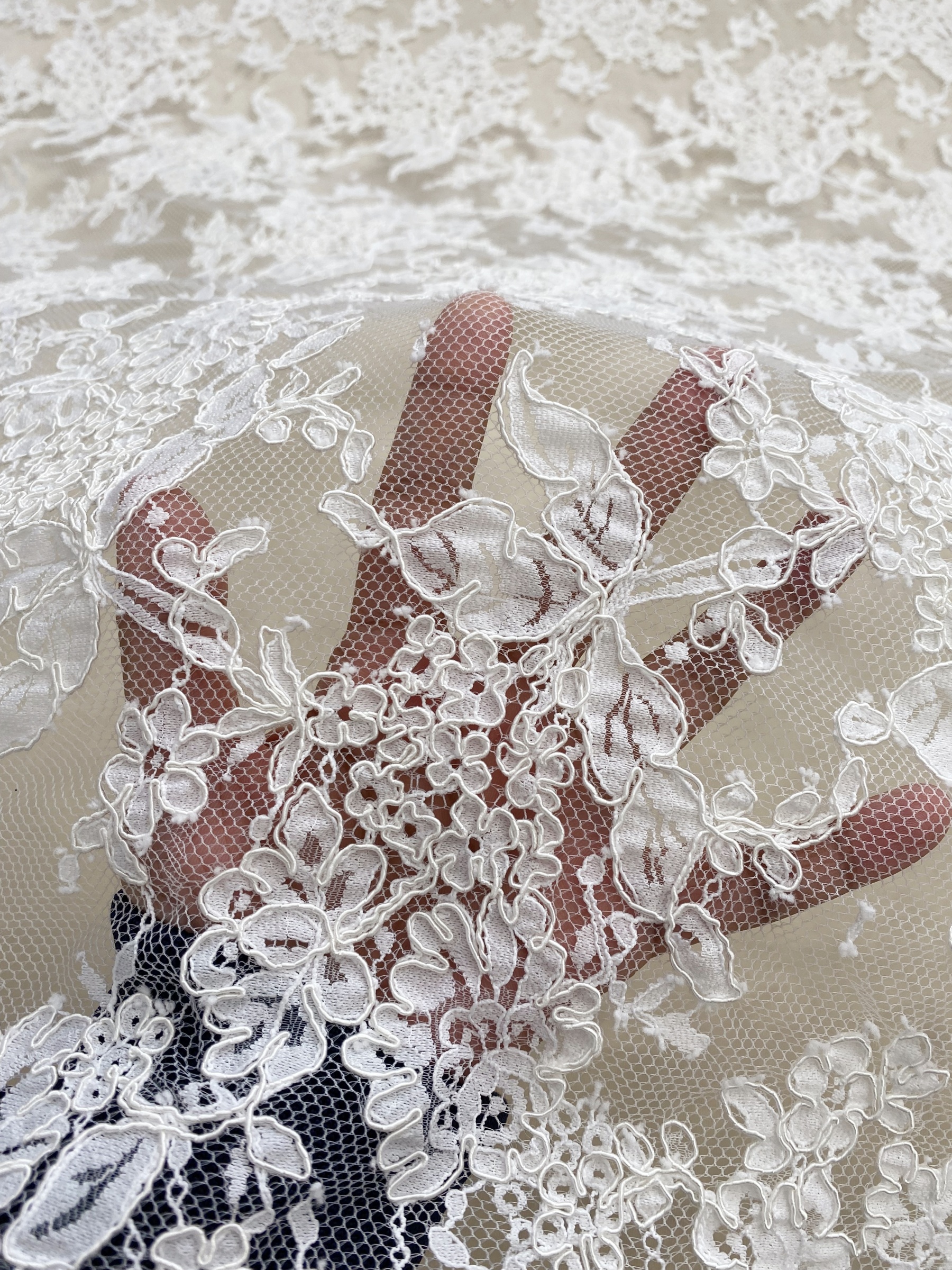 White French Lace with Corded