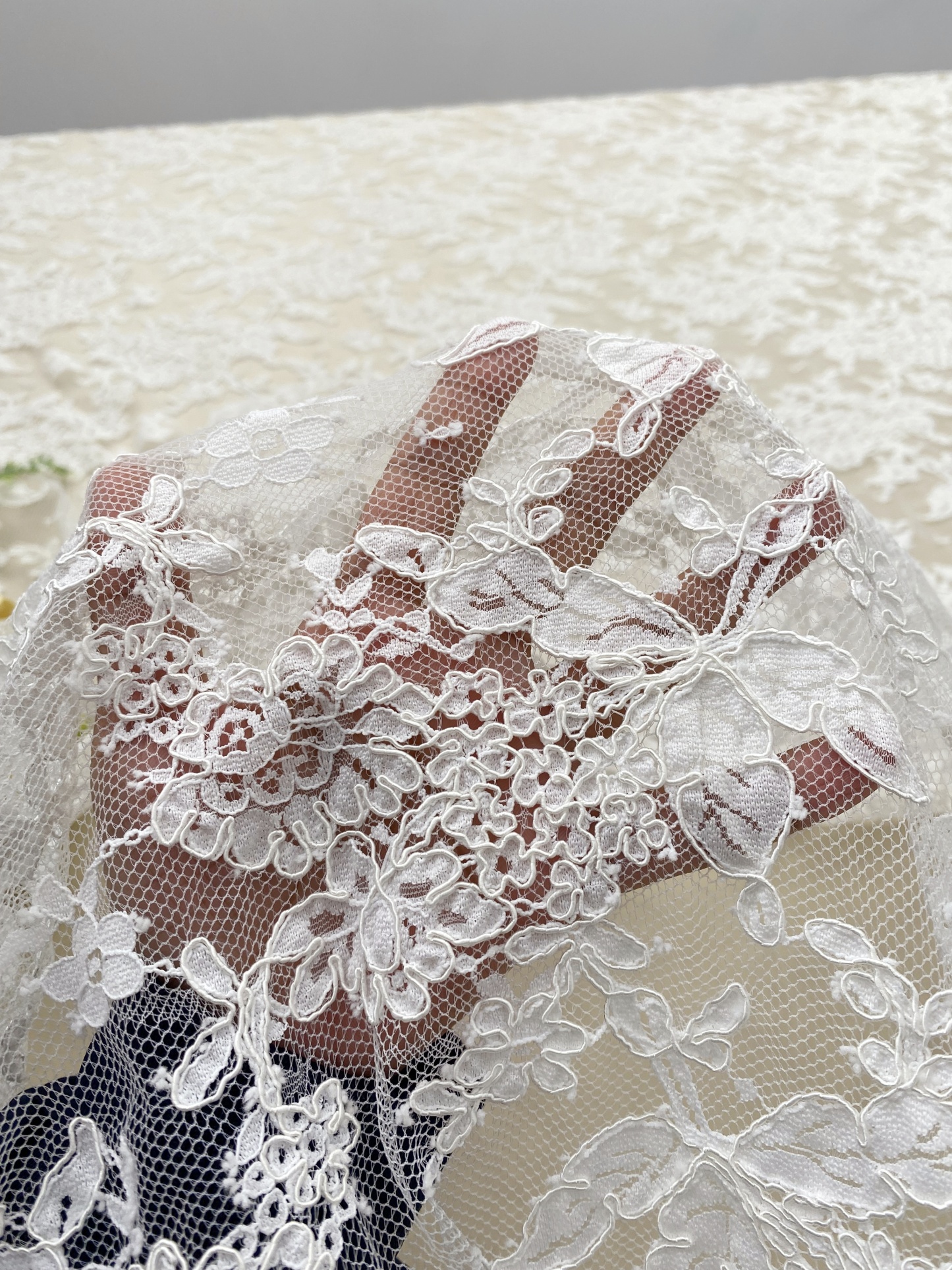 White French Lace with Corded