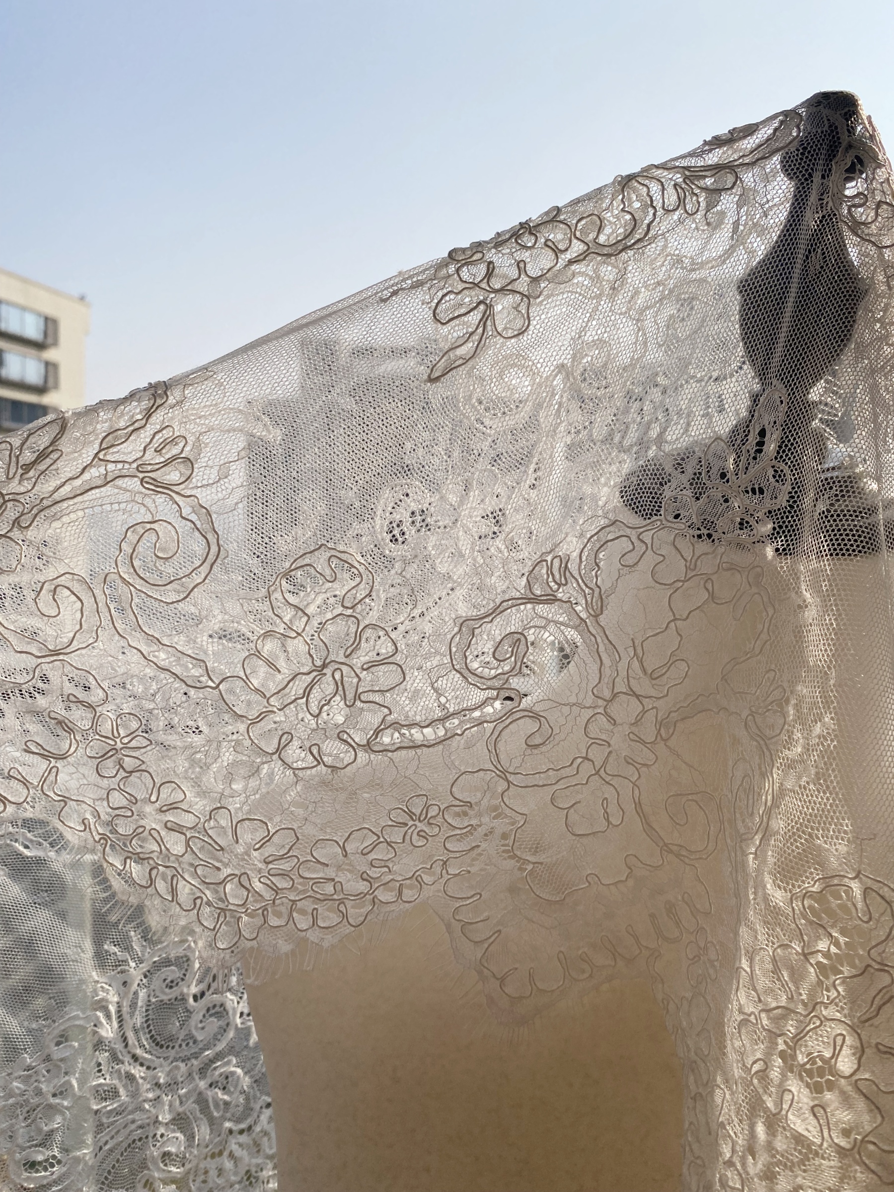 3 Meters French Corded Lace Trim,Floral Eyelash Lace for Bridal Wedding Veils or Dresses