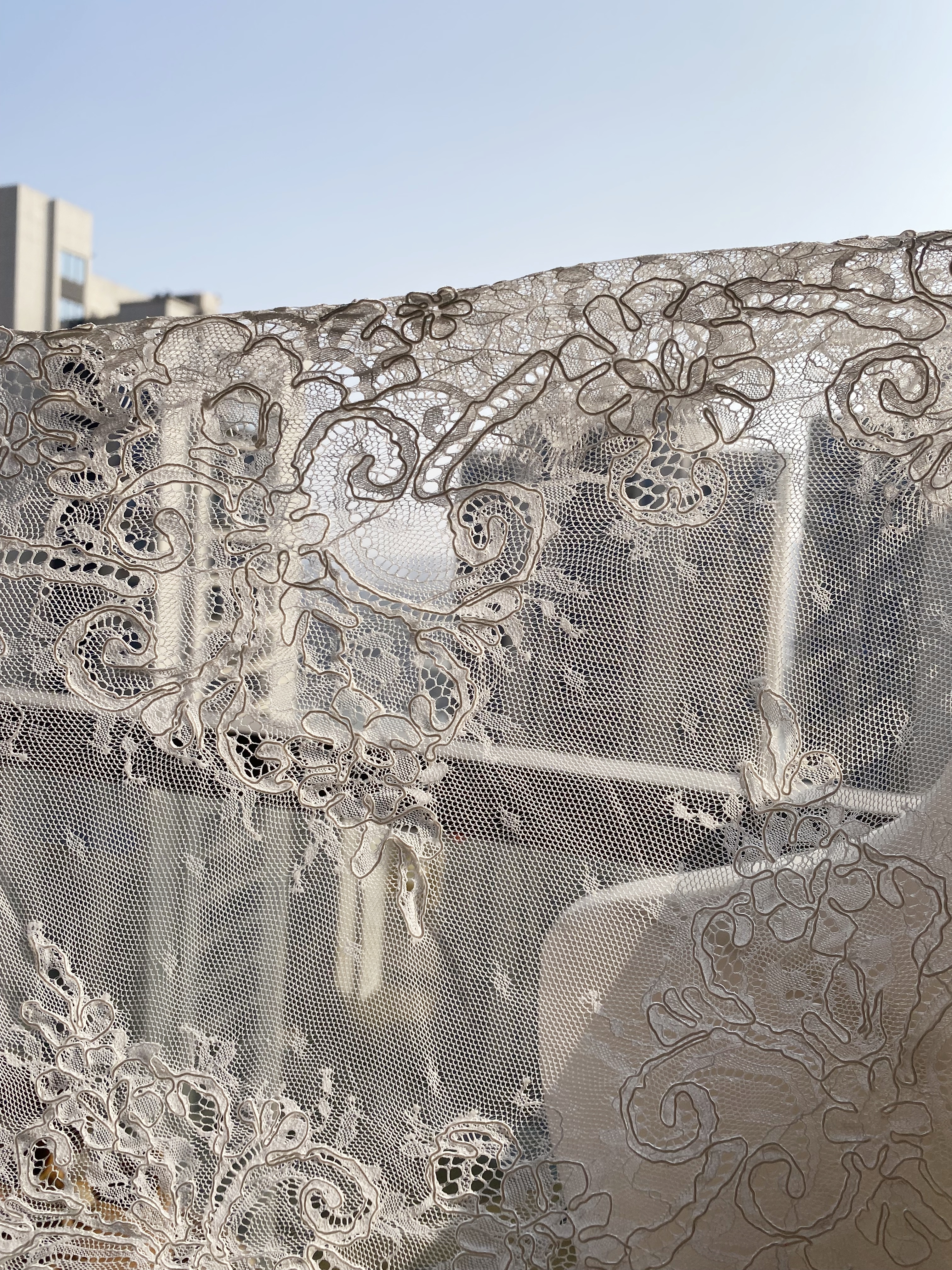 3 Meters French Corded Lace Trim,Floral Eyelash Lace for Bridal Wedding Veils or Dresses