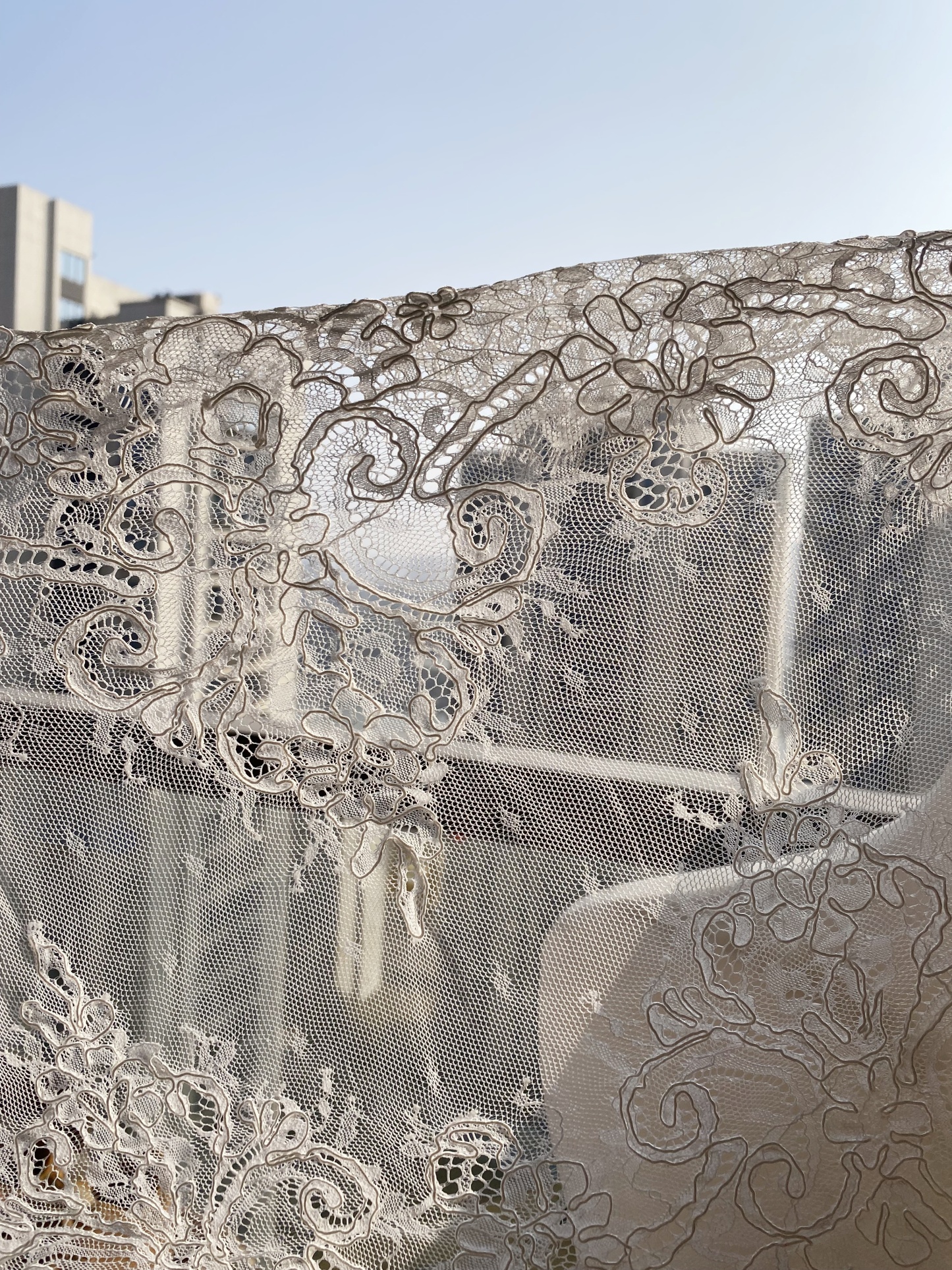 3 Meters French Corded Lace Trim,Floral Eyelash Lace for Bridal Wedding Veils or Dresses