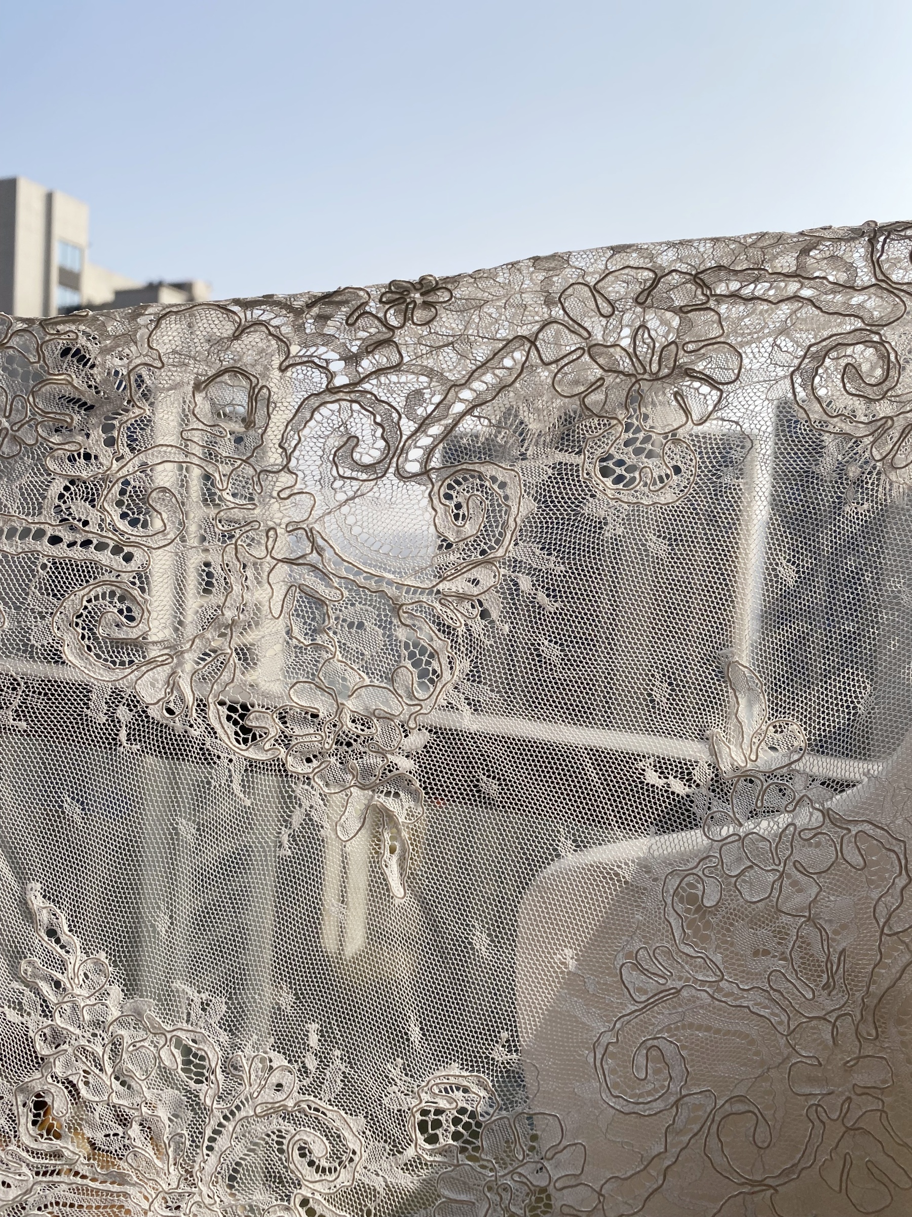 3 Meters French Corded Lace Trim,Floral Eyelash Lace for Bridal Wedding Veils or Dresses