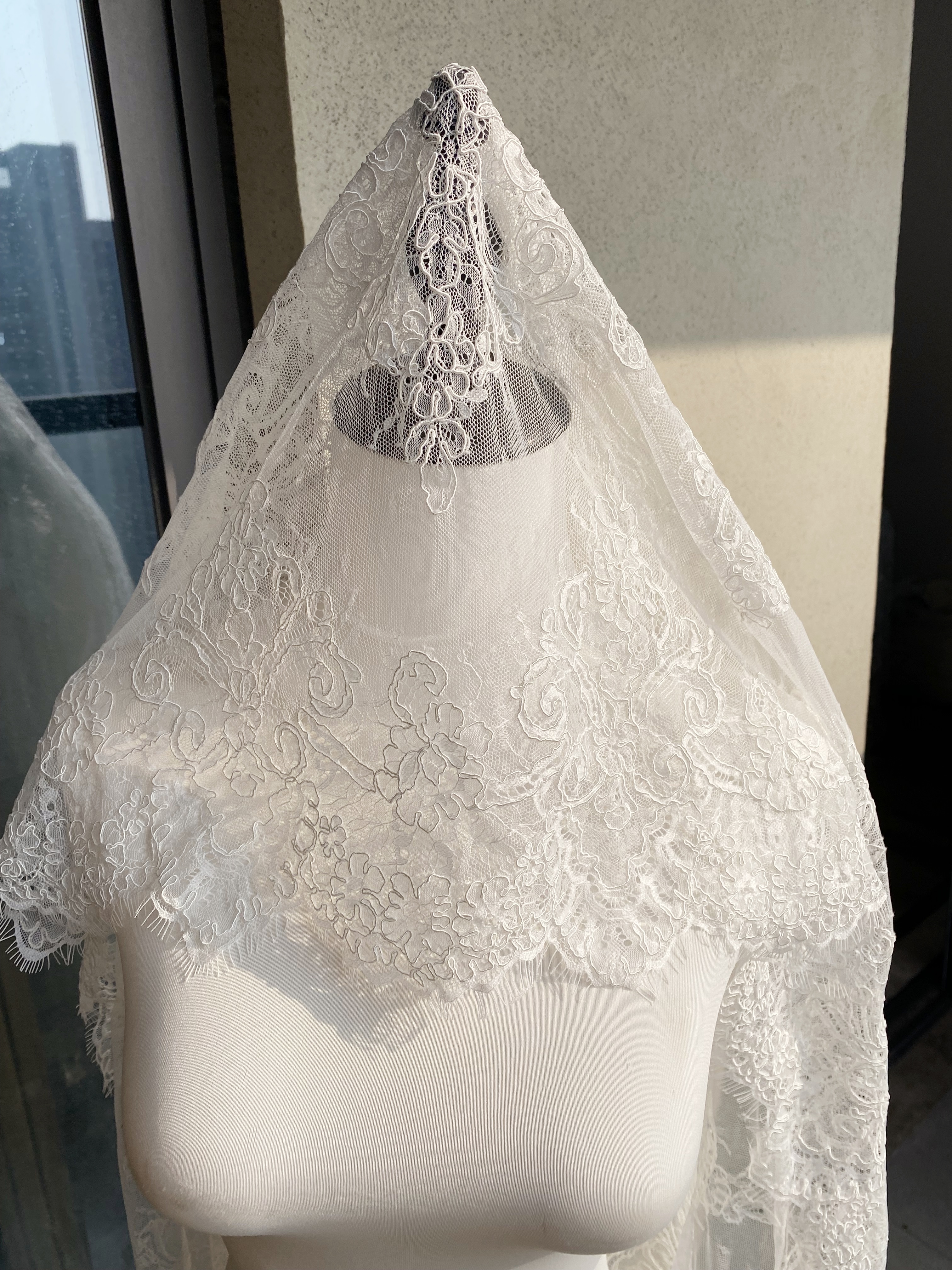 3 Meters French Corded Lace Trim,Floral Eyelash Lace for Bridal Wedding Veils or Dresses