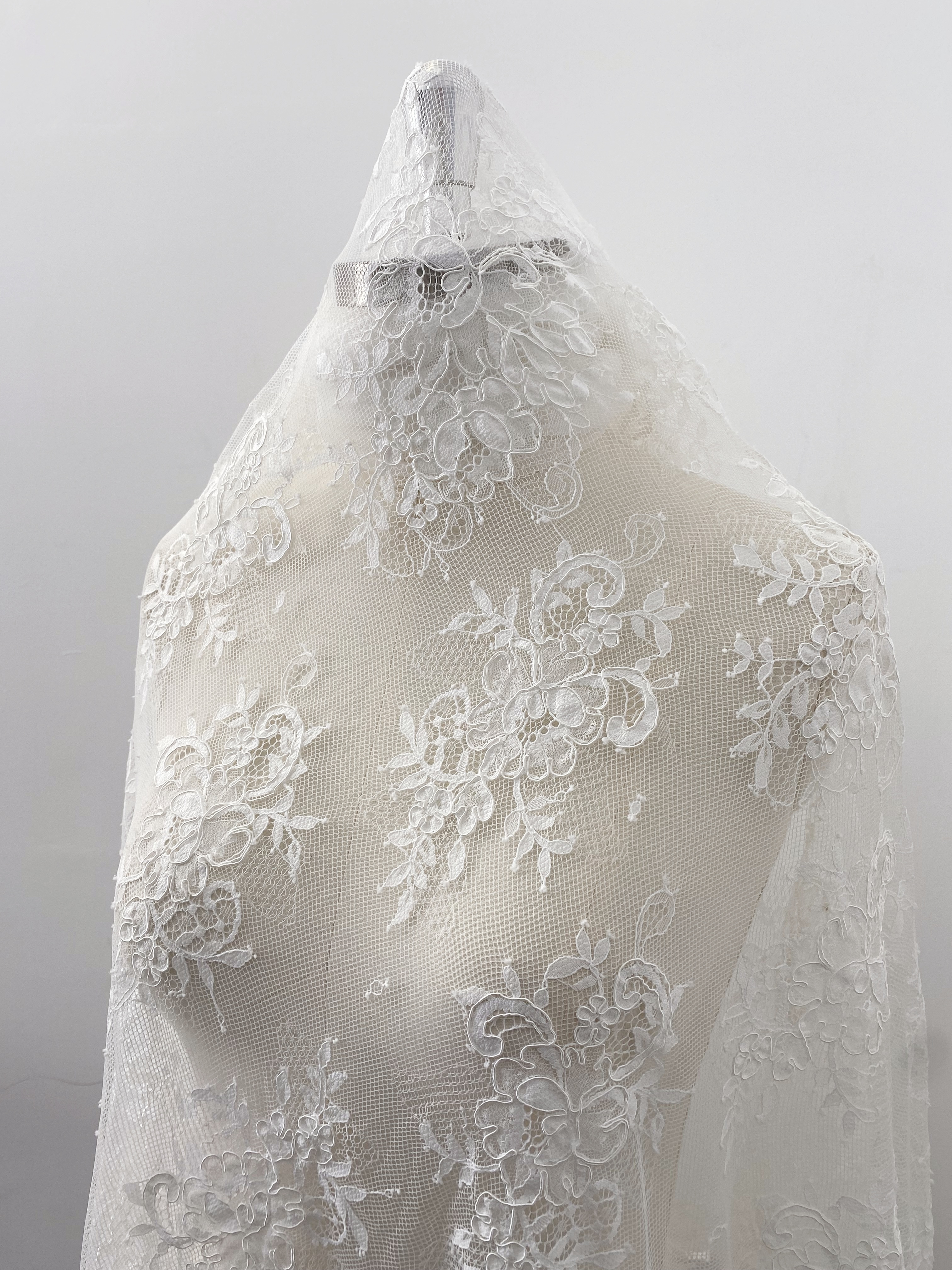 3 Meters French Chantilly Lace Fabric with Corded and Eyelash, Floral Embroidery Lace Scallop Edges for Bridal Wedding Dress, Veil