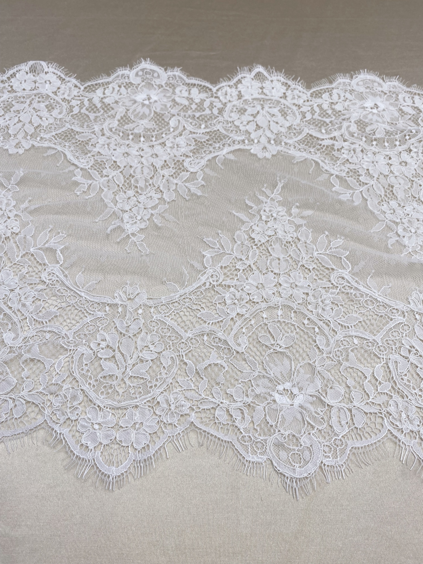 3 Meters French Corded Lace Trim,Floral Eyelash Lace for Bridal Wedding Veils or Dresses