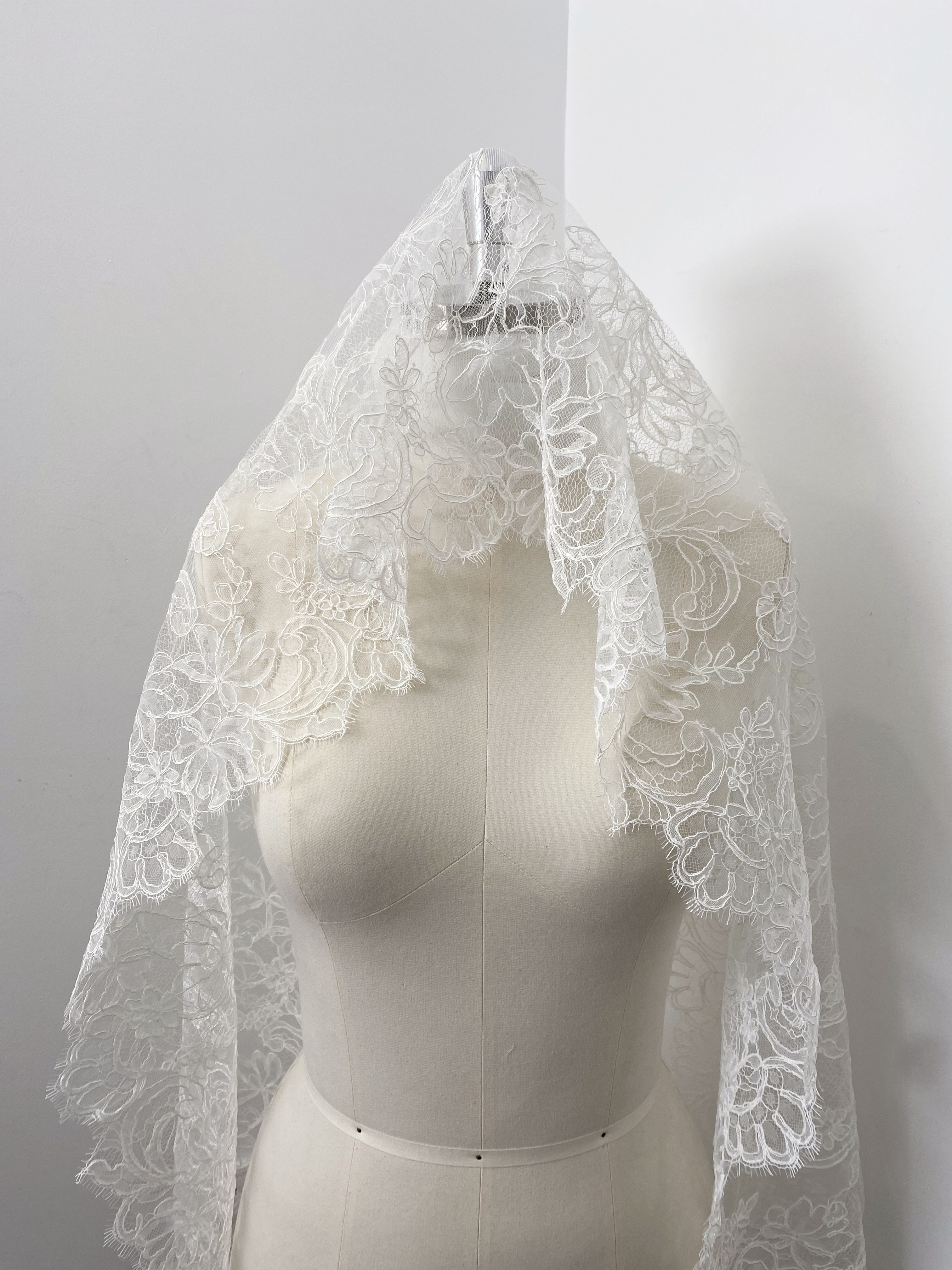 3 Meters French Corded Lace Trim,Floral Eyelash Lace for Bridal Wedding Veils or Dresses