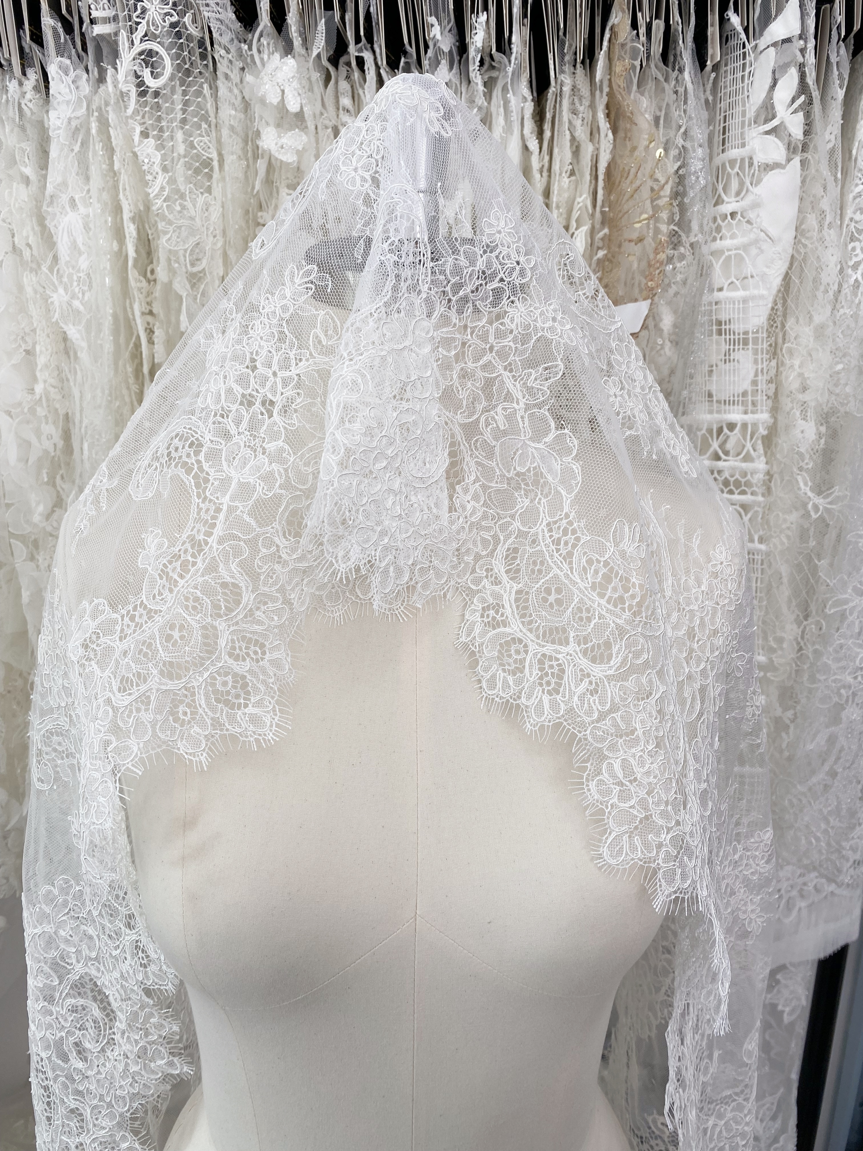 3 Meters French Corded Lace Trim,Floral Eyelash Lace for Bridal Wedding Veils or Dresses