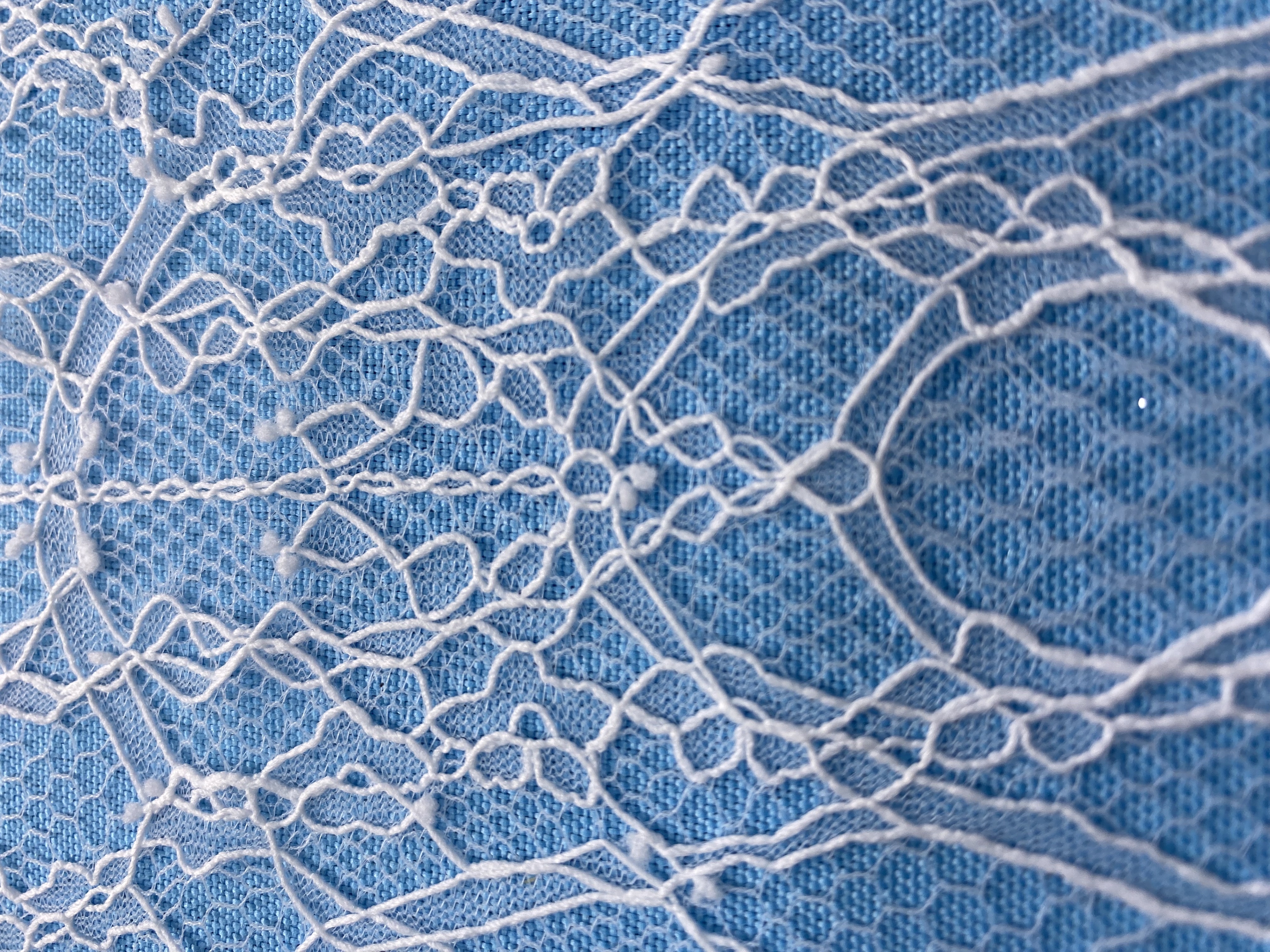 French Eyelash Lace with Embroidery – Stylish High-End Fabric, 300CM Length x 150CM Width for Wedding Dresses, Fashion Garments & Decor Projects