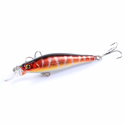 [Allgemein] Road Runner setzt Hot Stamped Laser Bionic Bait aus