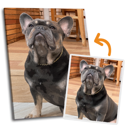 Custom Paint By Numbers Kit