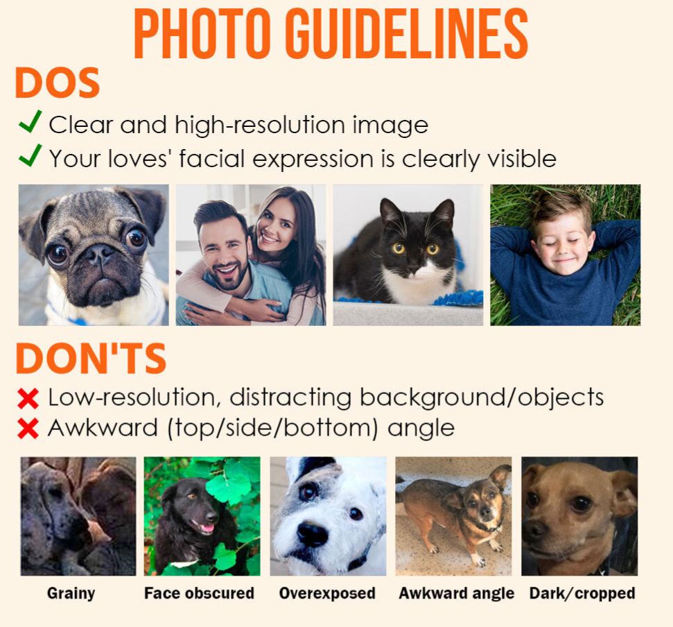 The Dog Times, The Meow Times - Troublemaker Of The Year - Personalized Acrylic Photo Ornament