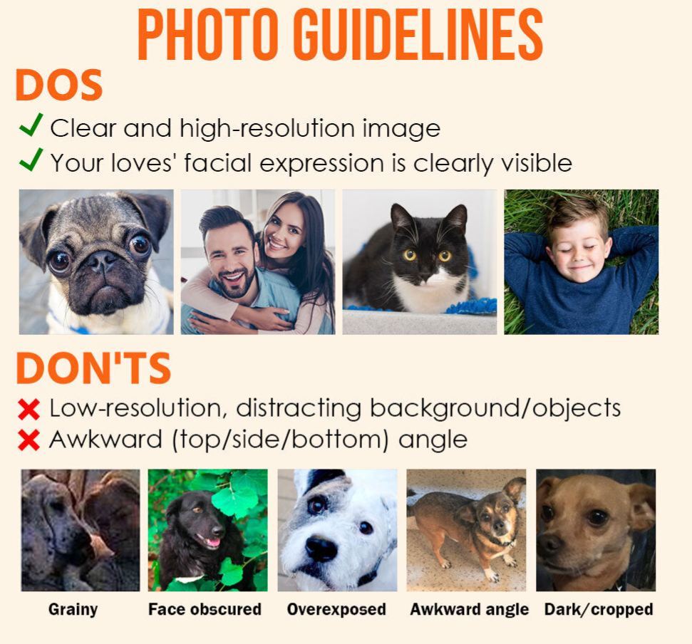 The Dog Times, The Meow Times - Troublemaker Of The Year - Personalized Acrylic Photo Ornament