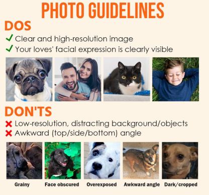 The Dog Times, The Meow Times - Troublemaker Of The Year - Personalized Acrylic Photo Ornament