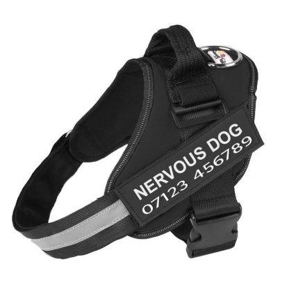 Personalised No Pull Dog Harness